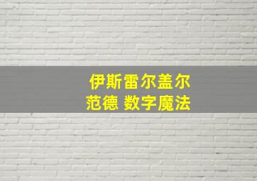 伊斯雷尔盖尔范德 数字魔法